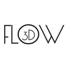 FLOW 3D