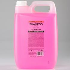 Basic Salon Fruit Shampoo 5000 ml