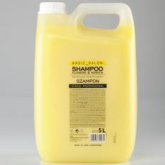 Basic Salon Flowers & Keratin Shampoo 5000 ml
